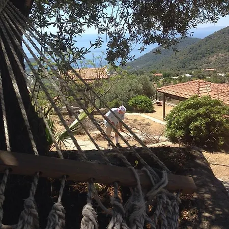 Peri Konagi Datca Mesudiye (Datca)